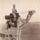Bikaner Camel Corps
