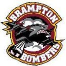 Ice hockey clubs established in 1973