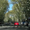 Shopping districts and streets