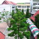 1888 in Siam