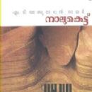 Naalukettu (novel)