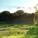 Protected areas of Chatham-Kent