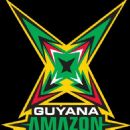 2013 in Guyana