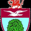 Welsh football clubs by league