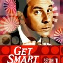 1965 television seasons