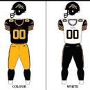 Canadian football teams in Ontario