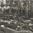 1896 in Africa