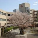 Tokyo Kasei-Gakuin University