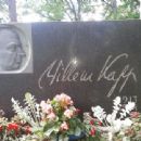 Villem Kapp