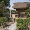 1259 establishments in Asia