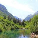 Flora of the Caucasus