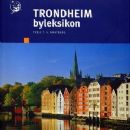 Mass media in Trondheim