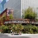 Aquaria in Texas