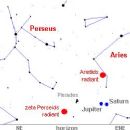 Arietids