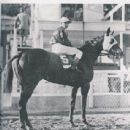 1918 racehorse deaths