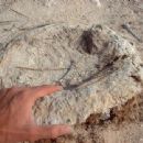 Speleology