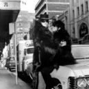 Donyale Luna and George Willing wearing their identical monkey fur coats and sunglasses, 1967