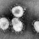 2000s disease outbreaks
