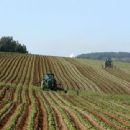 Plant pathogens and diseases