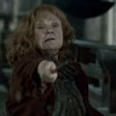 Harry Potter and the Deathly Hallows: Part 2 - Julie Walters - 454 x 193