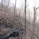 Thumping Dick Hollow