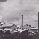 Economy of Oceania