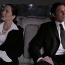 ER - Mary McDonnell - 454 x 255
