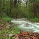 Nera basin
