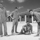 Mad Dogs