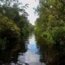 Biosphere reserves of Indonesia
