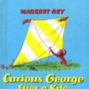 Books about kite flying