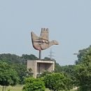 1985 establishments in Chandigarh