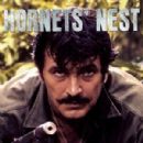 Hornets' Nest