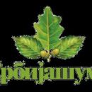 Renewable resource companies established in 1991