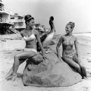 How to Stuff a Wild Bikini - 450 x 463