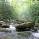 National forests of Tennessee