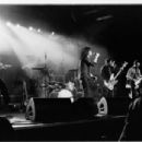 Musical groups from York