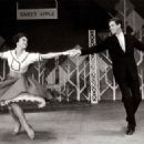 Bye Bye Birdie 1960 Broadway Cast Starring Dick Van Dyke - 454 x 324