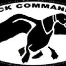 Privately held companies based in Louisiana
