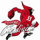Chicago Cardinals players