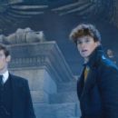 Fantastic Beasts: The Crimes of Grindelwald - Eddie Redmayne - 454 x 242