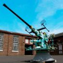 Naval guns of Sweden