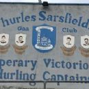 1883 in Gaelic games