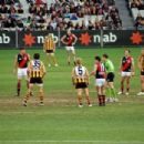 2004 Australian Football League season
