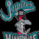 Jupiter Hammerheads