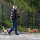 Cybill Shepherd – Spotted out with her dogs in Los Angeles - 454 x 351