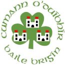 1918 in Gaelic games