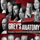 Grey's Anatomy (season 7) episodes