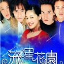 Meteor Garden