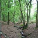 Cuffley Brook